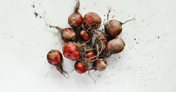 A cluster of fresh beetroots with roots and soil on a white background, showcasing organic farming.