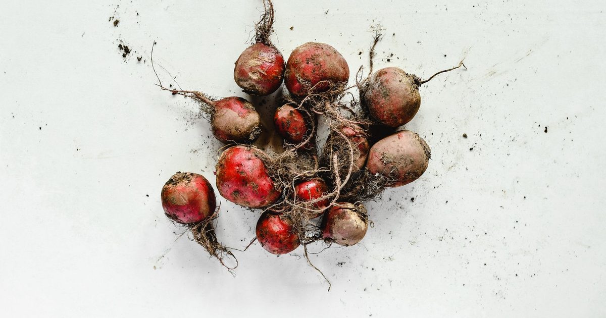 A cluster of fresh beetroots with roots and soil on a white background, showcasing organic farming.