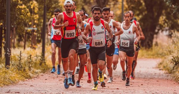 Group of male marathon runners competing on an outdoor trail surrounded by trees.