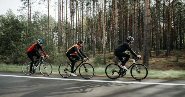 Group of cyclists riding along a scenic road with lush forest backdrop, enjoying a sunny outdoor adventure.