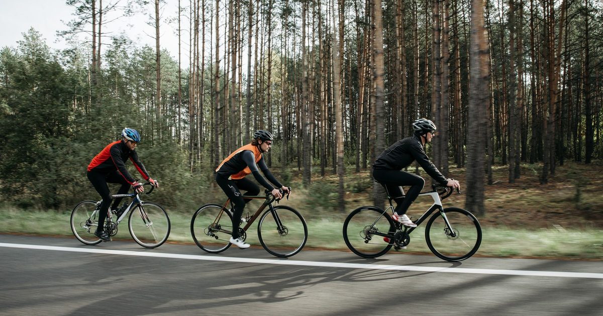 Group of cyclists riding along a scenic road with lush forest backdrop, enjoying a sunny outdoor adventure.