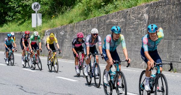 Cyclists competing in a race on a scenic mountain road in summer.