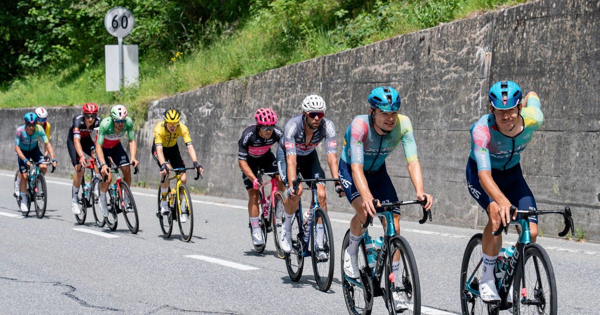 Cyclists competing in a race on a scenic mountain road in summer.